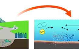 Lòng sông không yên tĩnh