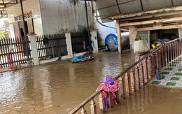Ngập nặng ở xã biên giới Đắk Lắk, phải sơ tán hơn 500 hộ dân