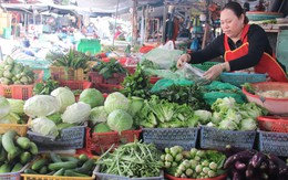 Đà Nẵng: Giá rau xanh leo thang sau mưa lũ