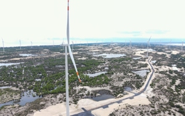 Vingroup quan tâm dự án điện gió 9.100 tỉ đồng tại Quảng Trị