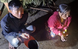 Bắt 4 người chuyên đi trộm trái khóm và vỏ lãi của người dân