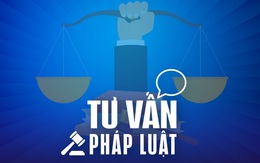 Xe máy để ngoài sòng đá gà, xử lý thế nào khi bị bắt?