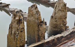 Mong sớm giải mã con tàu cổ ở Hội An