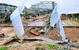 Xót xa hình ảnh vùng rau lớn nhất Lâm Đồng tan hoang sau lũ dữ