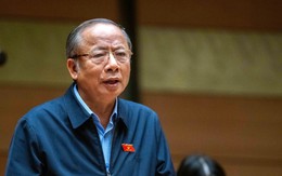 Đại biểu Quốc hội: Hàng tỉ đô nằm trong các mỏ khoáng sản, sao không có giải pháp khai thác?