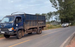 Sau va chạm, xe tải tiếp tục cán qua người nạn nhân, tài xế bị tạm giữ