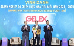 GELEX được vinh danh Doanh nghiệp có chiến lược M&A tiêu biểu