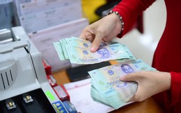 Hé lộ ‘mỏ vàng’ bị nhà đầu tư lãng quên, doanh nghiệp lãi đều đặn hơn 20%