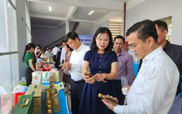 Xuất nhập khẩu hàng hóa An Giang - Campuchia tăng 12,7%/năm