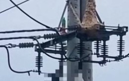 Trèo lên trụ điện bắt ong vò vẽ, nam thanh niên tử vong thương tâm