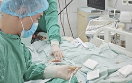 Nữ giáo viên sốc phản vệ, nguy kịch sau khi ăn bún ngan