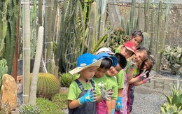 Hai học sinh chết đuối khi dã ngoại: Phụ huynh phản ứng cách tổ chức của trường