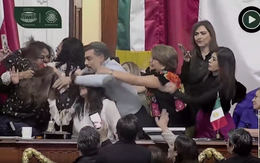 Các nữ nghị sĩ kéo tóc, đánh nhau ngay tại nghị trường Mexico City