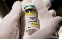 Cuộc chiến trường kỳ chống ung thư - Kỳ 2: Liệu pháp miễn dịch của TS James Allison