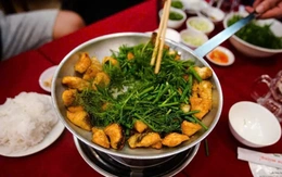 Một gia tộc Hà Nội 6 đời đúc rút tinh túy món chả cá Lã Vọng