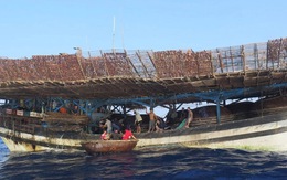 Đã cứu được tất cả ngư dân tàu cá Đà Nẵng bị cháy, chìm trên biển