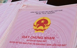 Đăng ký tạm trú khi cho thuê nhà chung cư có bắt buộc phải nộp sổ hồng?