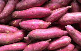 Khoai tây, khoai lang, ngô, bí đỏ và đậu Hà Lan loại nào nhiều dưỡng chất tốt cho sức khỏe?