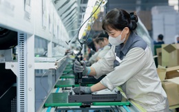 Hòa Phát toan tính gì khi nhảy vào thị trường chục tỉ USD điện máy gia dụng?