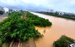 Dự án thoát lũ tây Nha Trang giữ lại cây mọc trái thiết kế, chưa được nghiệm thu