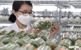 Khoa học và công nghệ mở ra cơ hội cách mạng mới trong nông nghiệp