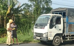 Phát hiện tài xế xe tải ở miền Tây chở hơn 600kg mèo không rõ nguồn gốc