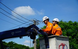 Ngành điện TP.HCM cam kết không cắt điệp dịp Giáng sinh và Tết dương lịch