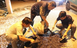 Những người trám vết thương lòng đường