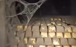 Thực hư video về hang động chứa đầy vàng ở Syria?