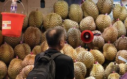 Lào được Trung Quốc cấp phép xuất khẩu sầu riêng tươi, cạnh tranh với Thái Lan