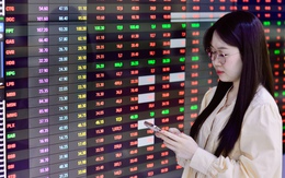 Hơn 400 mã giảm giá, VN-Index vẫn lập đỉnh mới 1.772 điểm