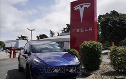 Lượng xe điện Tesla tại thị trường châu Âu giảm mạnh
