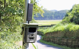 Camera AI - công cụ then chốt giúp ngăn ngừa động vật nguy hiểm