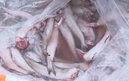 Cá khoai chứa formol nguy hại thế nào đến sức khỏe?