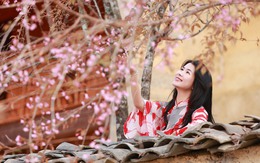 Lũng Cú lần đầu tiên tổ chức Lễ hội hoa mai anh đào