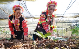 Đừng nhìn dân tộc thiểu số, miền núi là nghèo nàn, lạc hậu