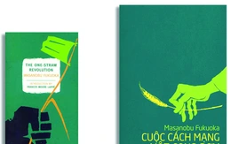 10 năm từ cọng rơm tới những khu vườn rừng: Ngộ nhận, vỡ lẽ và chuyển hóa