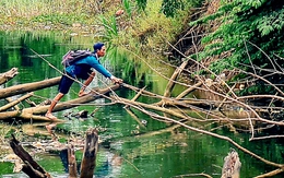 Xuyệt điện hoành hành khắp nơi