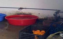 Phát hiện loạt vi phạm vệ sinh an toàn thực phẩm trong cung cấp suất ăn bán trú cho học sinh