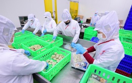 Từ 1-1 tăng mức lương tối thiểu cho người lao động; Miễn thuế sử dụng đất nông nghiệp đến hết 2030