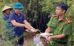 Hà Tĩnh tháo dỡ ‘ma trận’ bẫy chim trời, thu giữ hàng chục ngàn dụng cụ đánh bắt