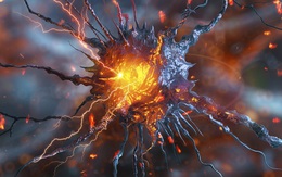 Tìm ra cách 'sạc pin’ cho tế bào già yếu, mở hướng trị bệnh tim mạch, lão hóa