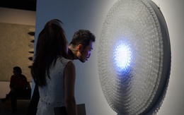 Chuyện đám bèo hoa dâu Việt Nam được Phạm Tuân mang lên vũ trụ bước vào tác phẩm nghệ thuật