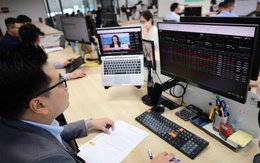 Những quỹ lớn nào đang dẫn đầu hiệu quả đầu tư năm 2025?