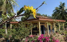 Ngôi nhà hình tổ chim câu