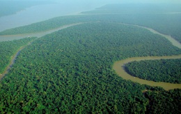 Xuất hiện kiểu khí hậu nguy hiểm ở rừng mưa Amazon, đe dọa toàn bộ hệ sinh thái