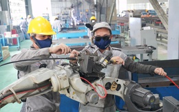 Từ 1-1-2026, nhiều luật mới điều chỉnh AI, bảo vệ dữ liệu và môi trường đầu tư