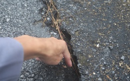 Xuất hiện vết nứt hàng chục mét gần nơi hàng loạt giun đất bò lên chết khô bất thường