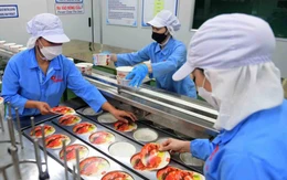 Đề xuất chuyển 300 ha đất vàng Khu chế xuất Tân Thuận  thành Khu công nghệ cao