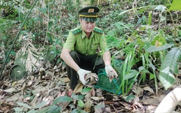 Vườn quốc gia Bạch Mã được công nhận Vườn Di sản ASEAN